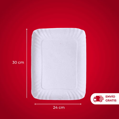 BANDEJA DE CARTÓN N°6 X100U